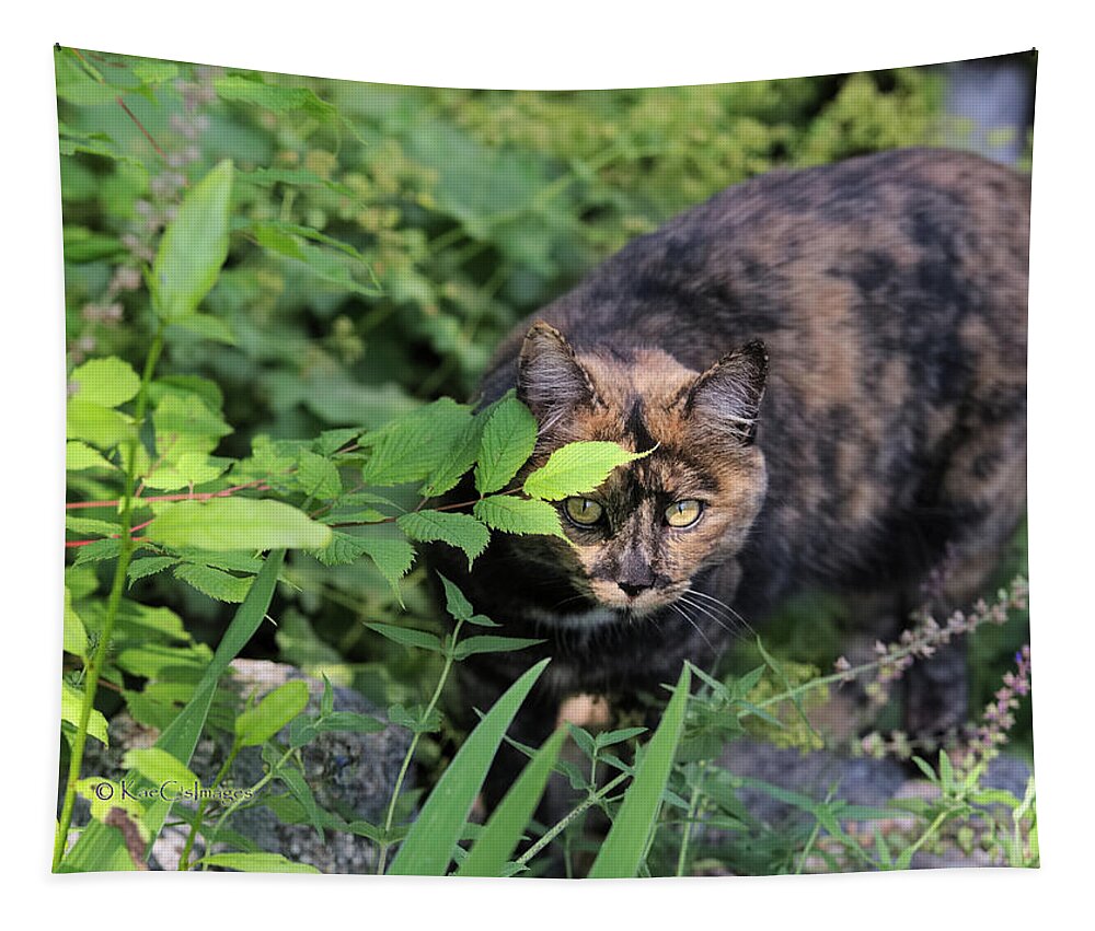 Cat Tapestry featuring the photograph Garden Cat on the Hunt by Kae Cheatham