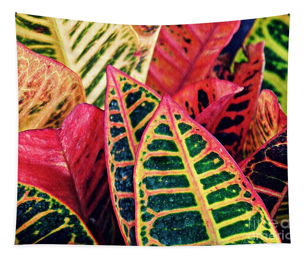 Garden Croton Tapestry featuring the photograph Garden Croton 1 by Sarah Loft