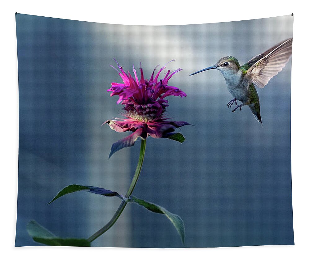 Hummingbird Tapestry featuring the photograph Garden Jewelry by Everet Regal