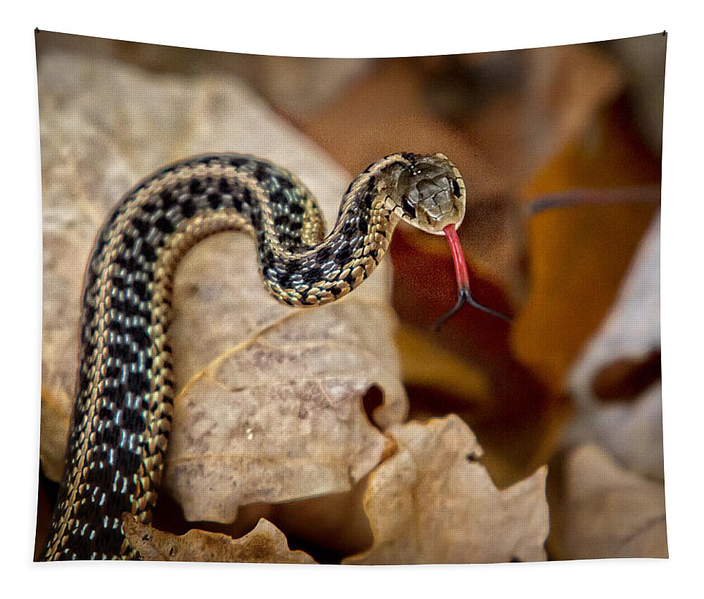 Snake Tapestry featuring the photograph Garden Snake by Eleanor Abramson