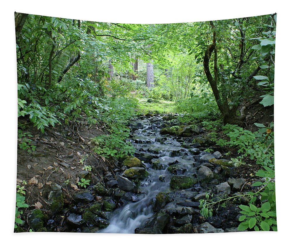 Nature Tapestry featuring the photograph Garden Springs Creek in Spokane by Ben Upham III