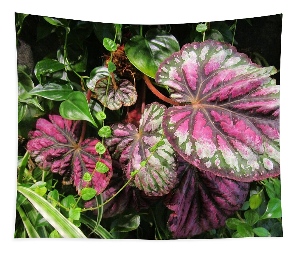 Flowers Tapestry featuring the photograph Garden Up the walls 8 by Rosita Larsson