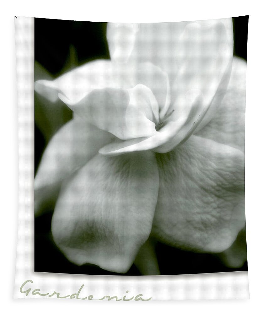 Flower Tapestry featuring the photograph Gardenia by Holly Kempe