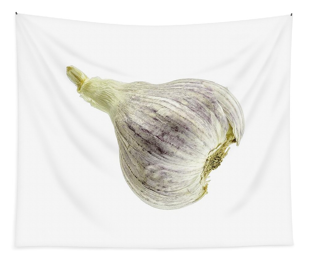 Texas Tapestry featuring the photograph Garlic Head by Erich Grant