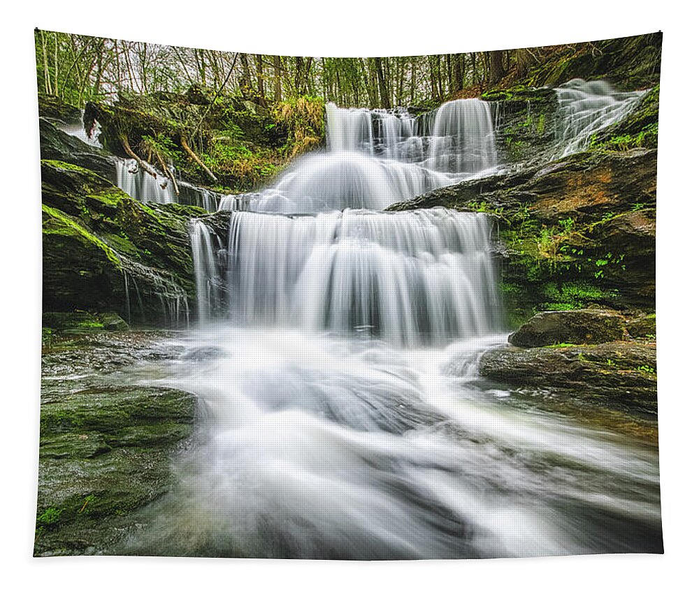 Falls Tapestry featuring the photograph Garwin Falls by Robert Clifford