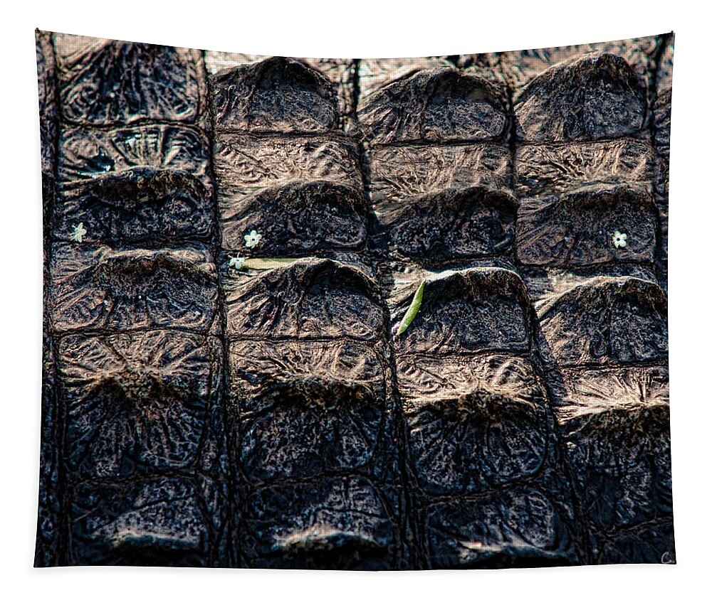 Alligator Tapestry featuring the photograph Gator Armor by Christopher Holmes