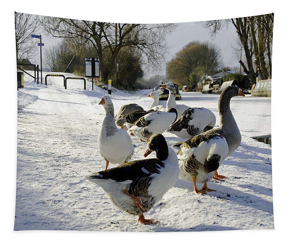 Europe Tapestry featuring the photograph Geese at the Frozen Horninglow Basin by Rod Johnson