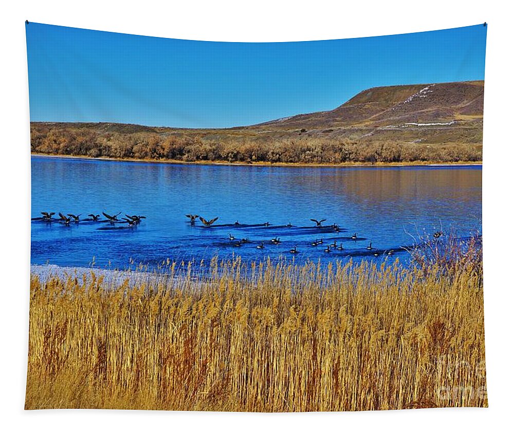 Geese Tapestry featuring the photograph Geese Gathering by Merle Grenz