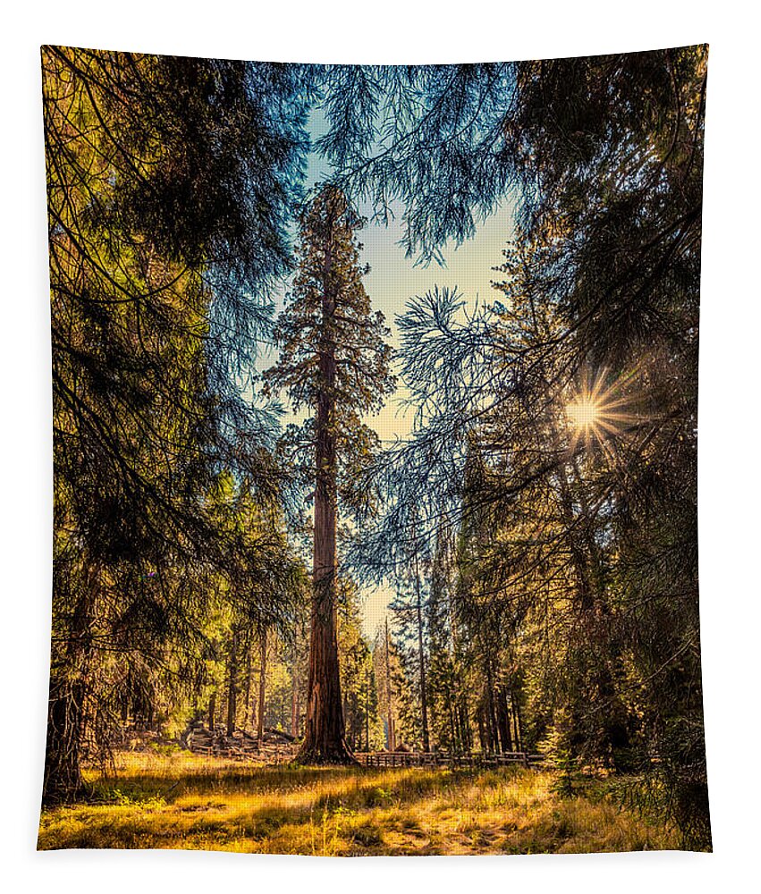 California Tapestry featuring the photograph General Sherman by Rikk Flohr