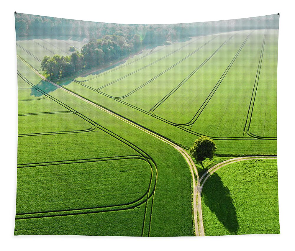 Green Landscape Tapestry featuring the photograph Geometric Landscape 04 Green fields aerial view by Matthias Hauser