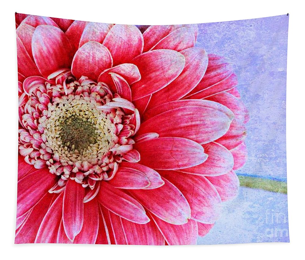 Gerbera Tapestry featuring the photograph Gerbera Texture by Clare Bevan
