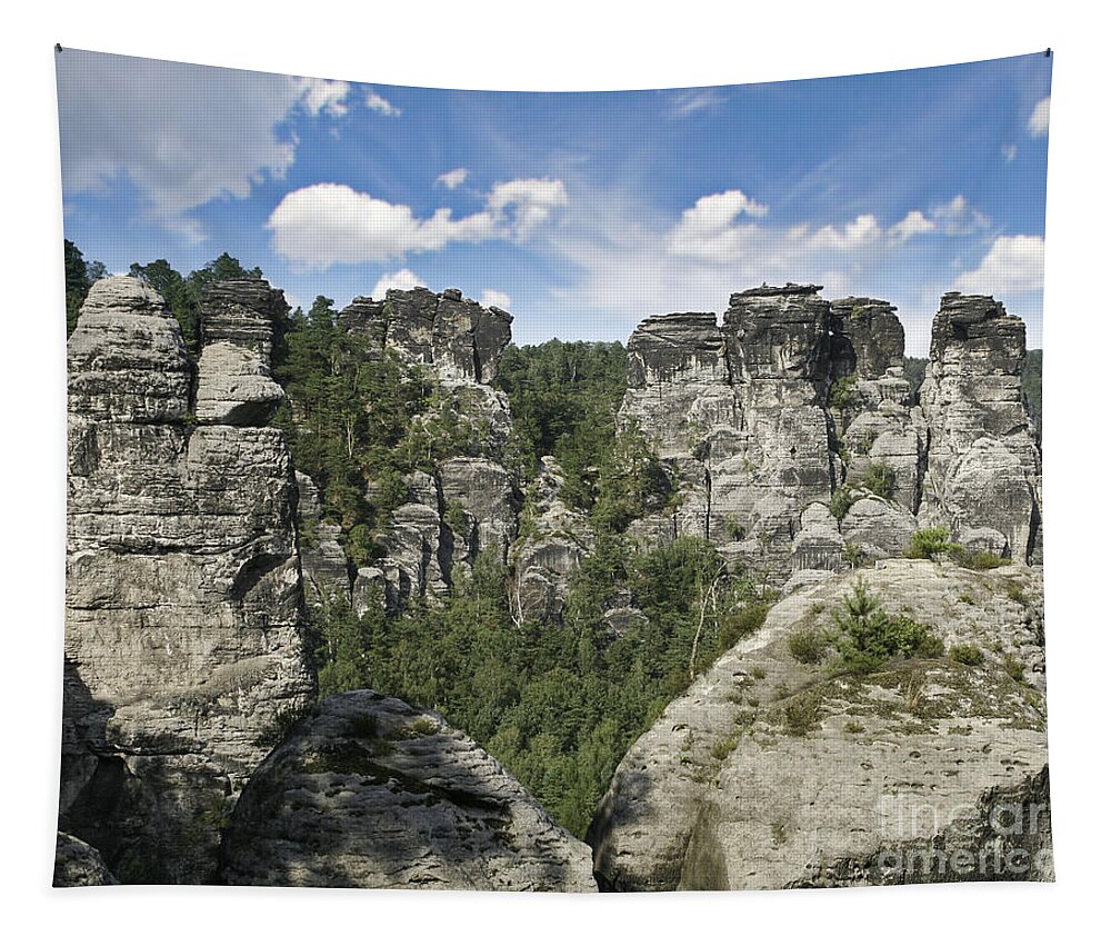 Germany Tapestry featuring the photograph Germany Landscape by Marc Champagne