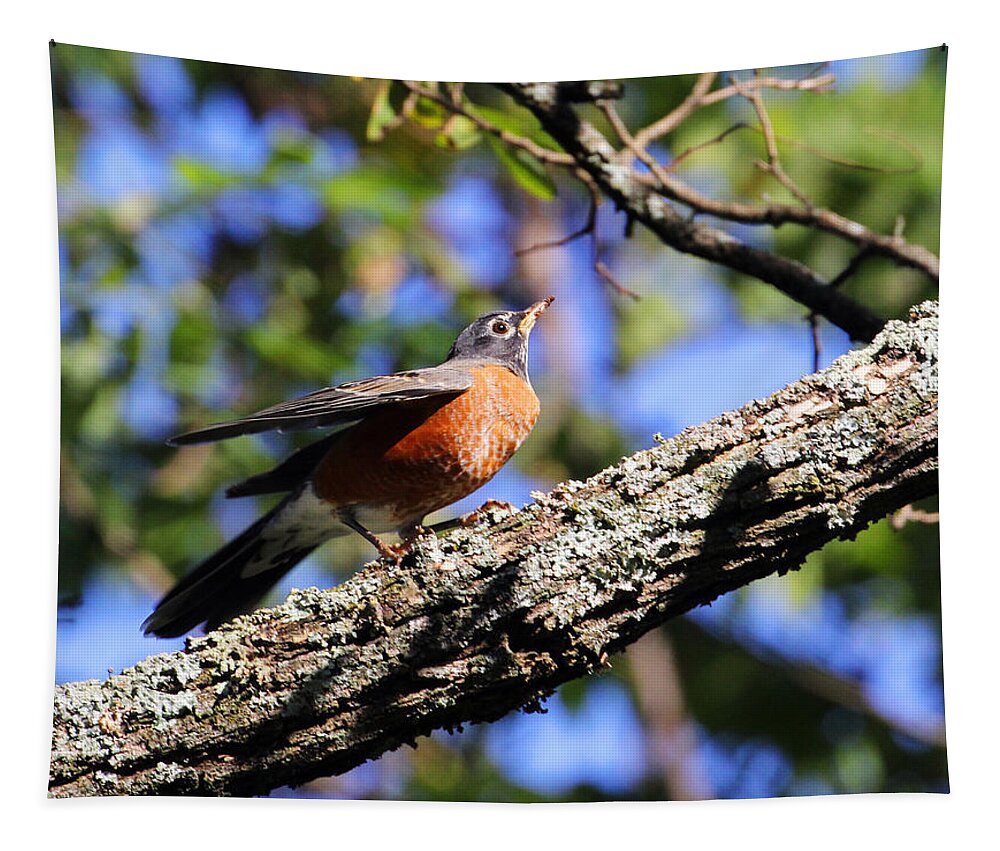 American Robin Tapestry featuring the photograph Get Down and Boogie by Jennifer Robin