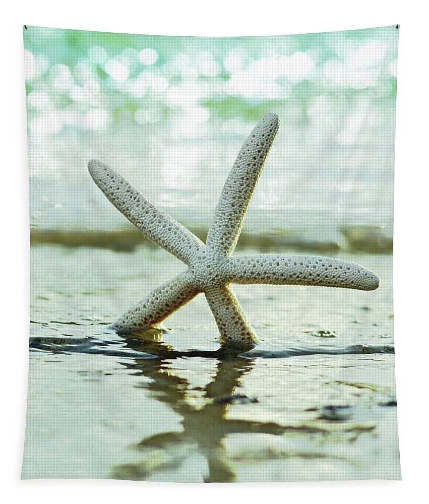 Seastar Tapestry featuring the photograph Get Your Feet Wet by Laura Fasulo