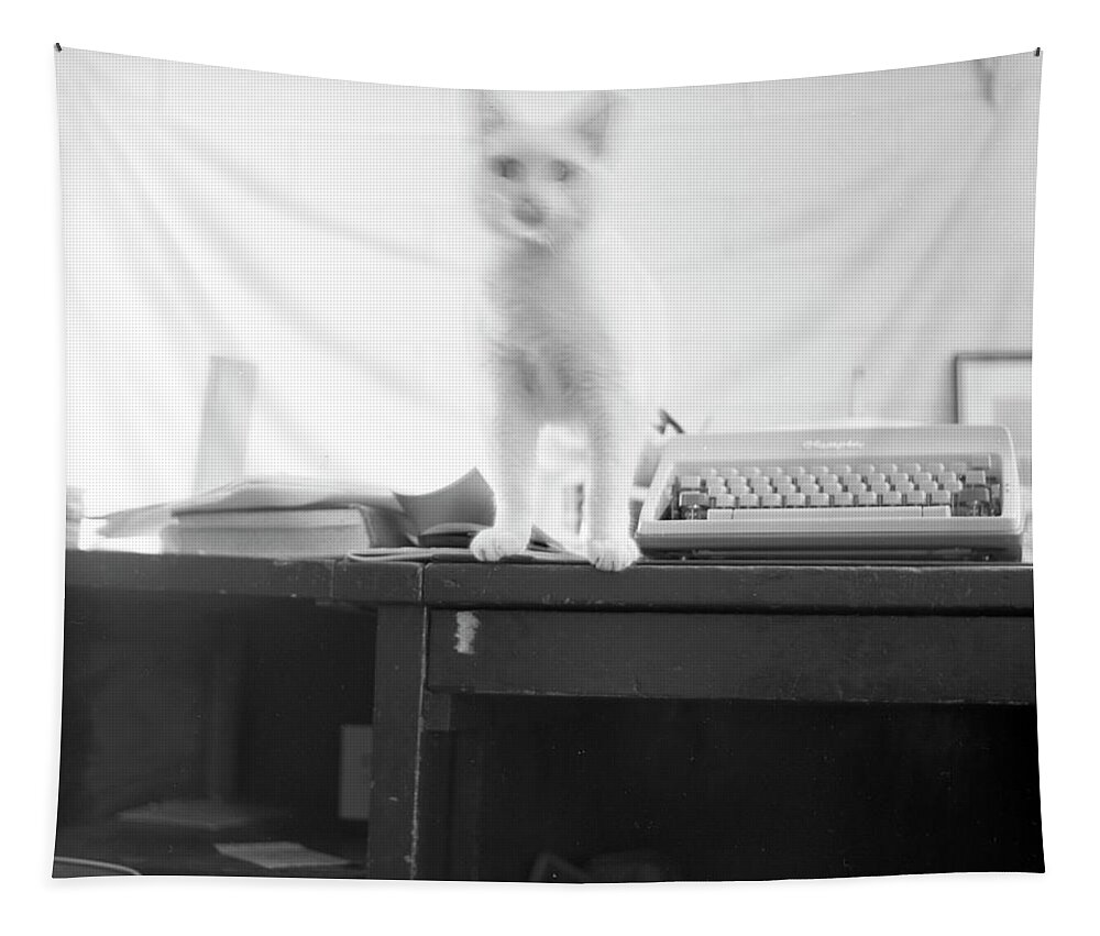 Cat Tapestry featuring the photograph Ghost Cat, with Typewriter by Jeremy Butler
