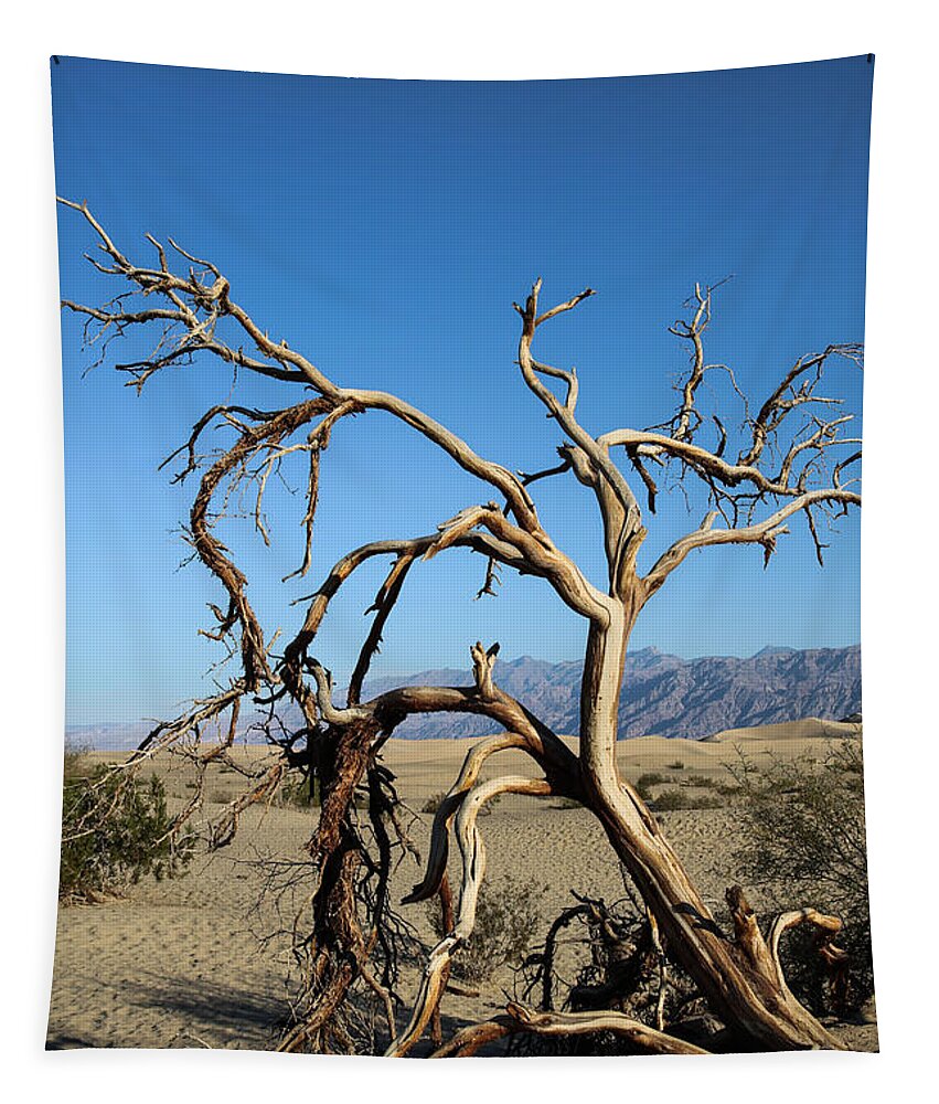 Mesquite Dunes Tapestry featuring the photograph Ghost Tree by Suzanne Luft