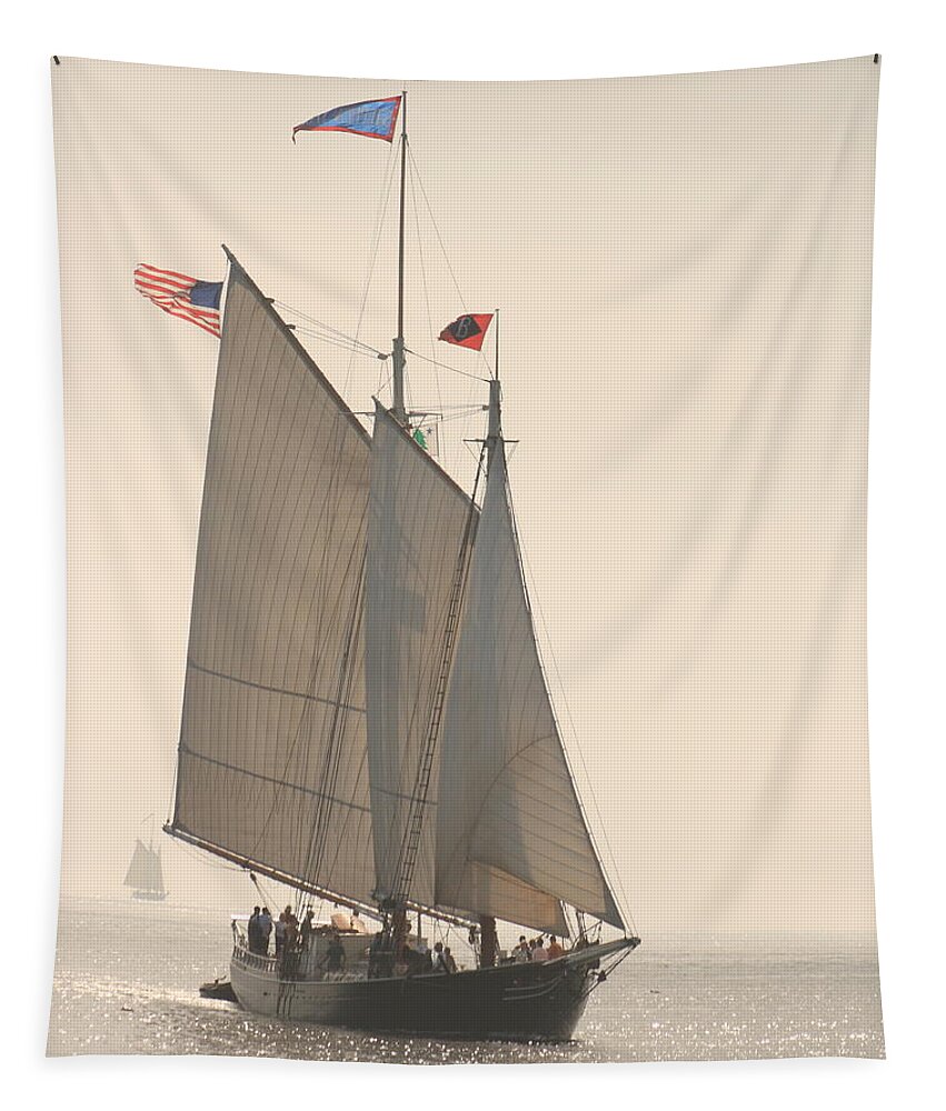 Fine Art Tapestry featuring the photograph Ghosts Of Summers Past by Doug Mills