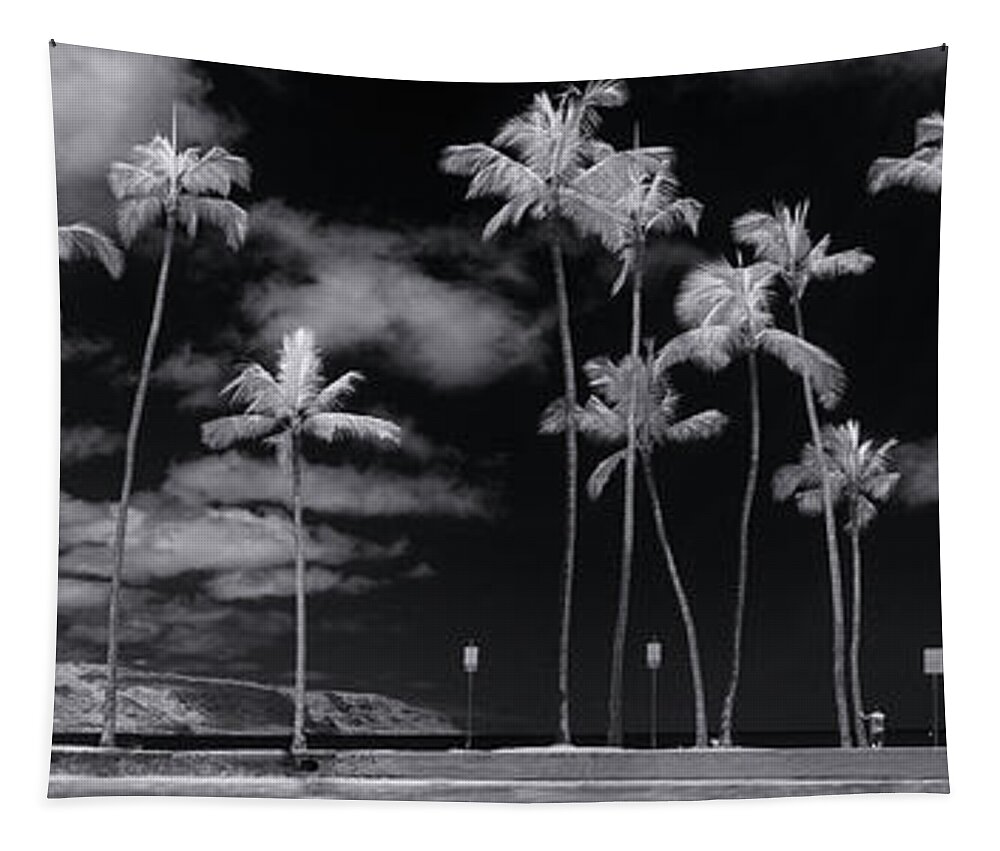 Black And White Tapestry featuring the photograph Giant Dandelions. by Sean Davey
