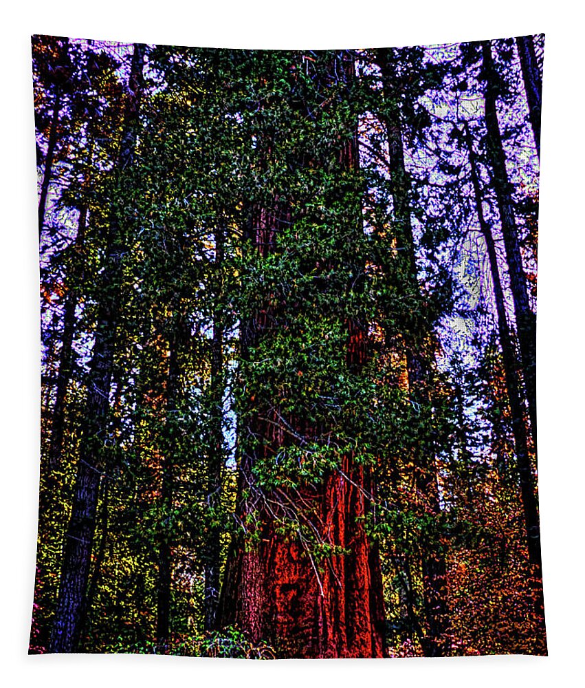 California Tapestry featuring the photograph Giant Sequoia in the Giant Forest by Roger Passman