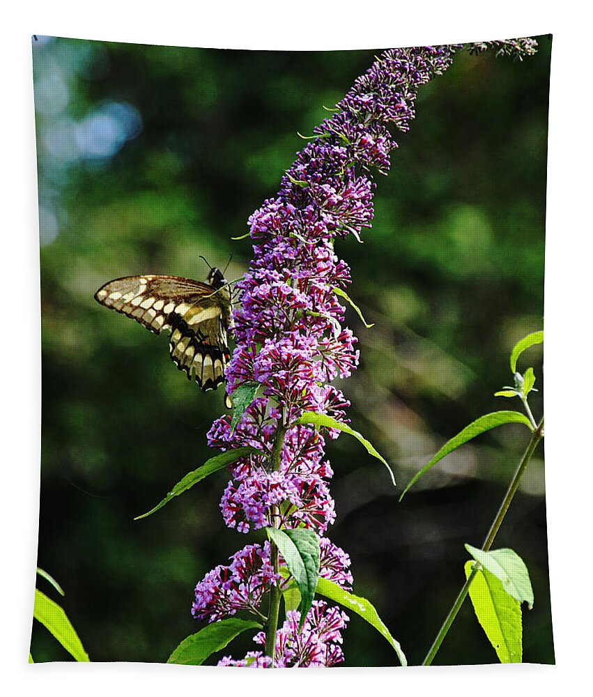 Giant Swallowtail Tapestry featuring the photograph Giant Swallowtail by Debbie Oppermann