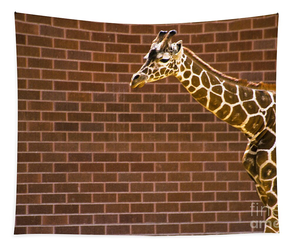 Giraffe Tapestry featuring the photograph Giraffe Pattern/ Brick Pattern by Paulette Sinclair