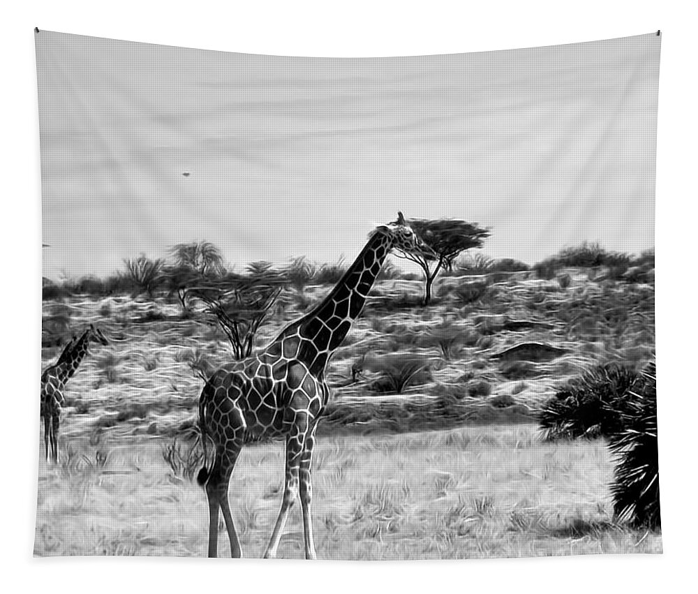 Giraffe Tapestry featuring the photograph Giraffes in Black and White by Cathy Anderson