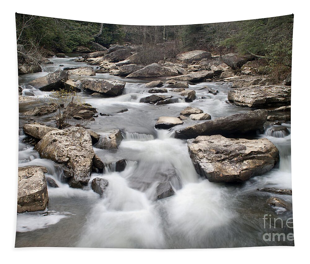 Time Exposure Tapestry featuring the photograph Glade Creek at Babcock State Park by Anthony Totah