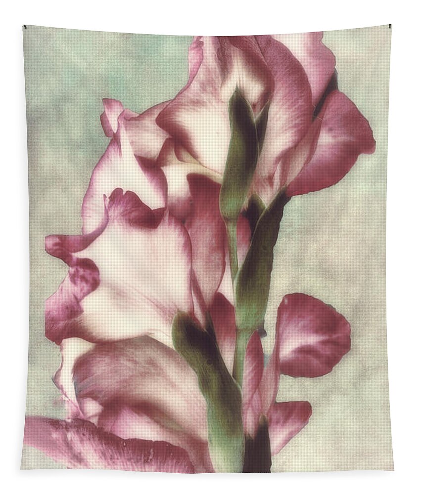 Gladiola Tapestry featuring the painting Gladiola by Mindy Sommers