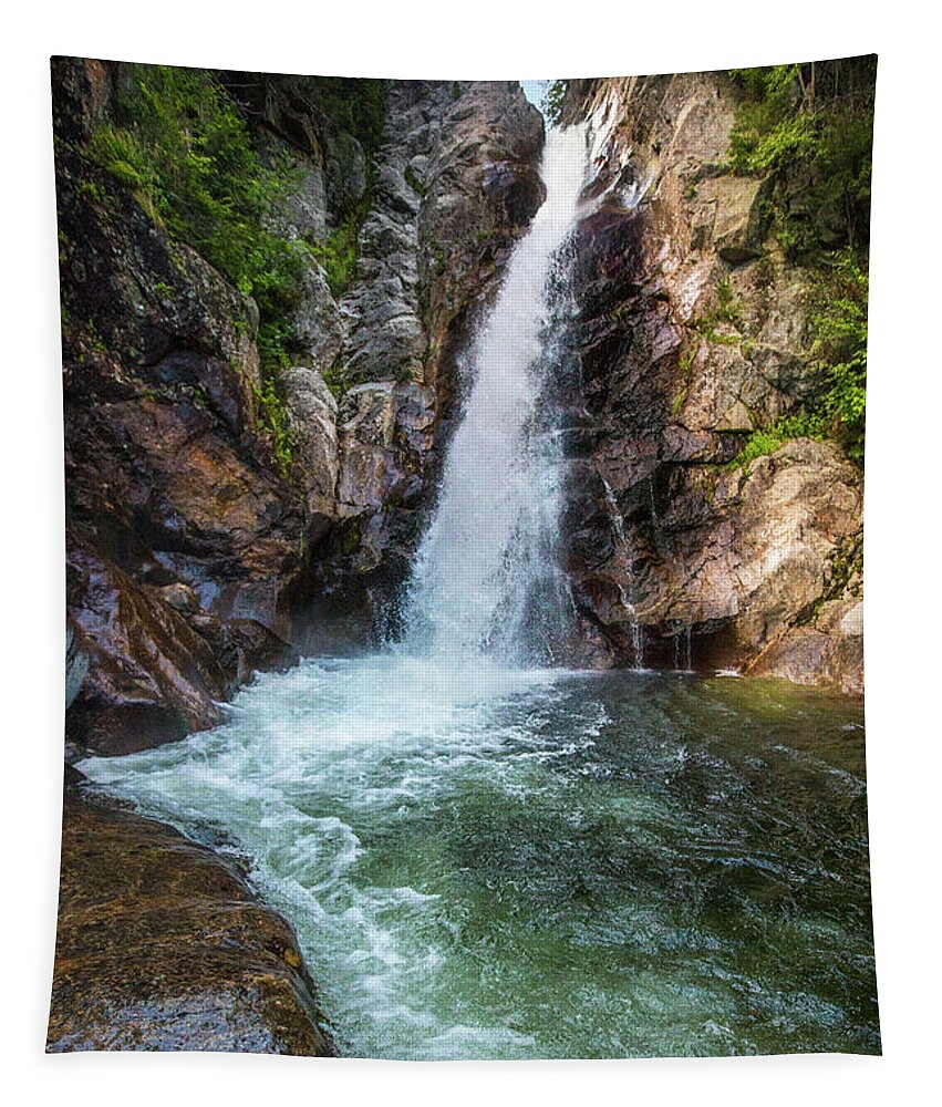 Glen Tapestry featuring the photograph Glen Ellis Falls Summer by White Mountain Images