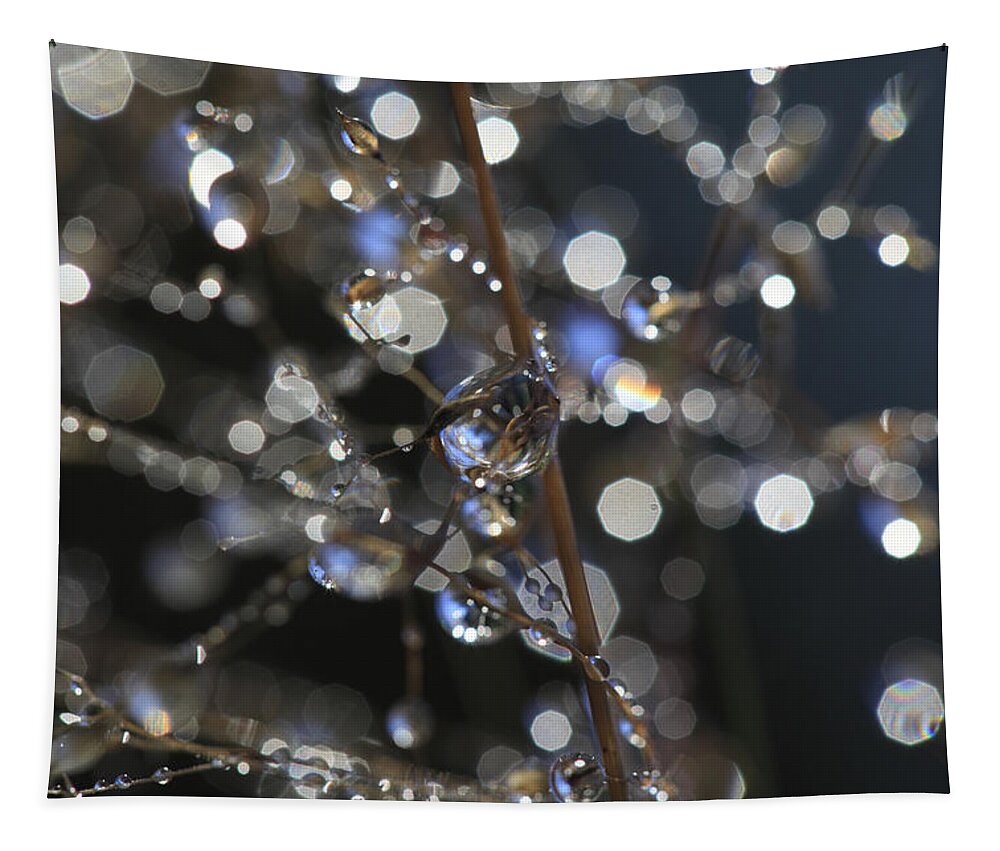 Plants Tapestry featuring the photograph Glittering dew drops on grass culms by Ulrich Kunst And Bettina Scheidulin