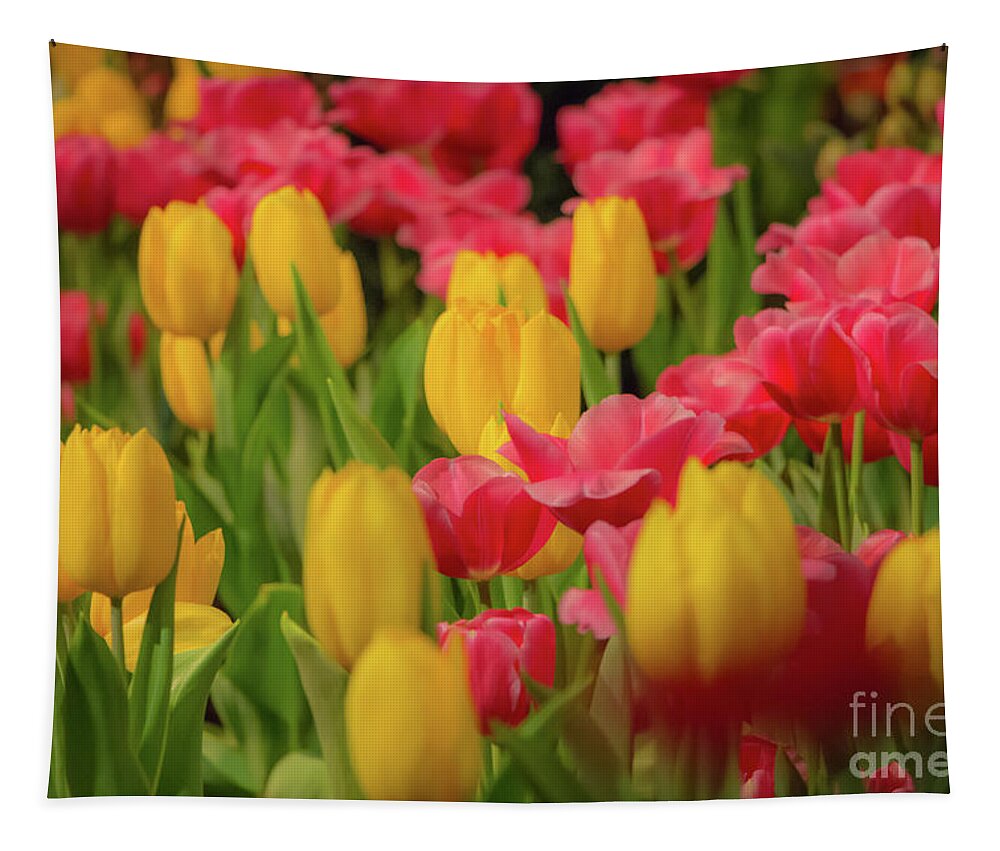 #elizabethdow Tapestry featuring the photograph Glorious Bed of Tulips by Elizabeth Dow
