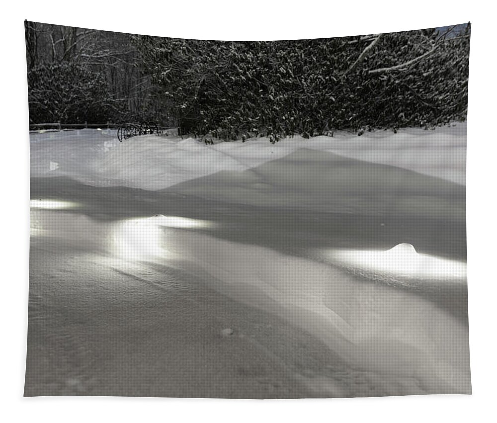 Snow Tapestry featuring the photograph Glowing Landscape Lighting by D K Wall