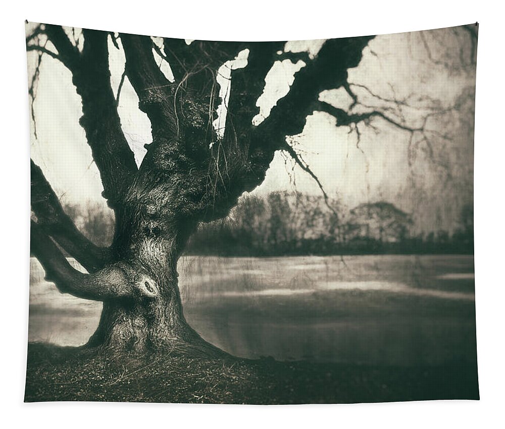 Gnarled Tapestry featuring the photograph Gnarled Old Tree by Scott Norris