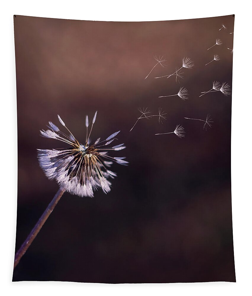 Dandelion Tapestry featuring the photograph Go Forth Fall by Heather Applegate