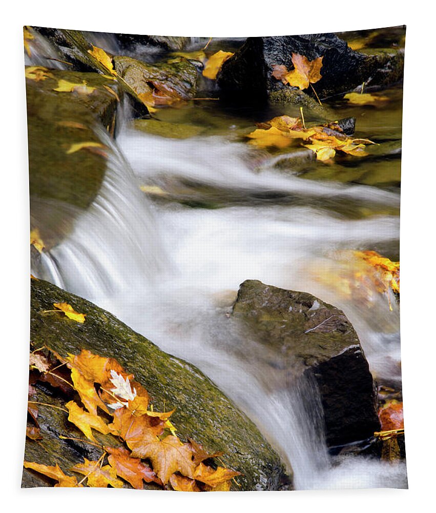 Fall Tapestry featuring the photograph Peaceful Autumn Creek by Christina Rollo