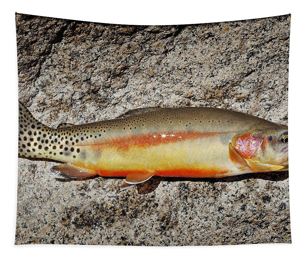 Golden Trout Tapestry featuring the photograph Golden Beauty by Kelley King