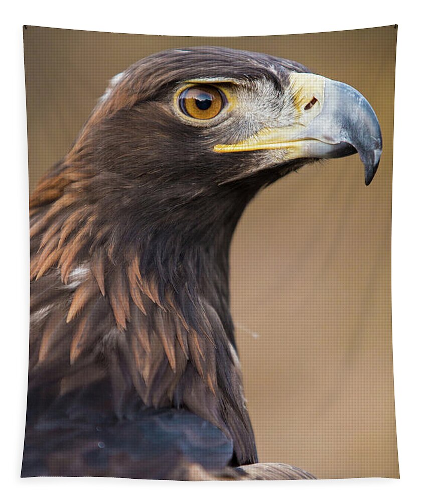 Golden Tapestry featuring the photograph Golden Eagle by Wesley Aston