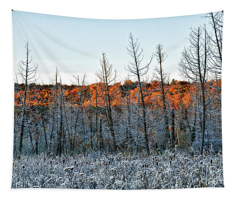  Tapestry featuring the photograph Golden Frost by Doug Gibbons