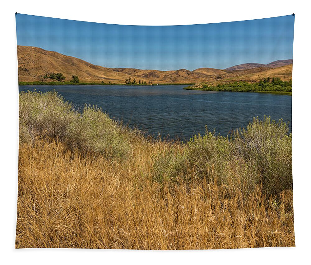 Snake River Tapestry featuring the photograph Golden Grasses along the Snake River by Brenda Jacobs