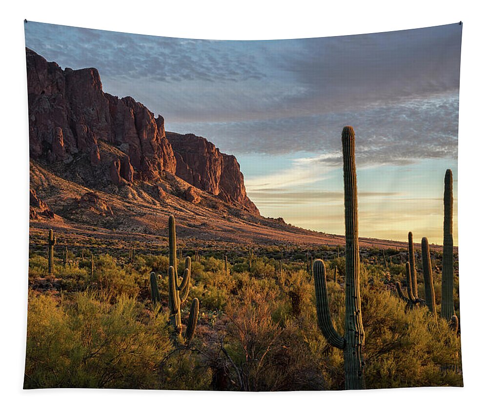 Sunset Tapestry featuring the photograph Golden Hour in the Supes by Saija Lehtonen