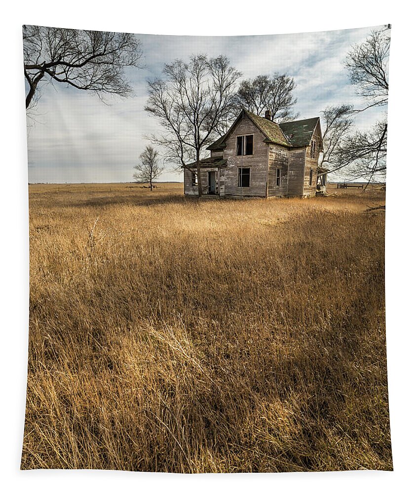 Prairie Tapestry featuring the photograph Golden Prairie by Aaron J Groen