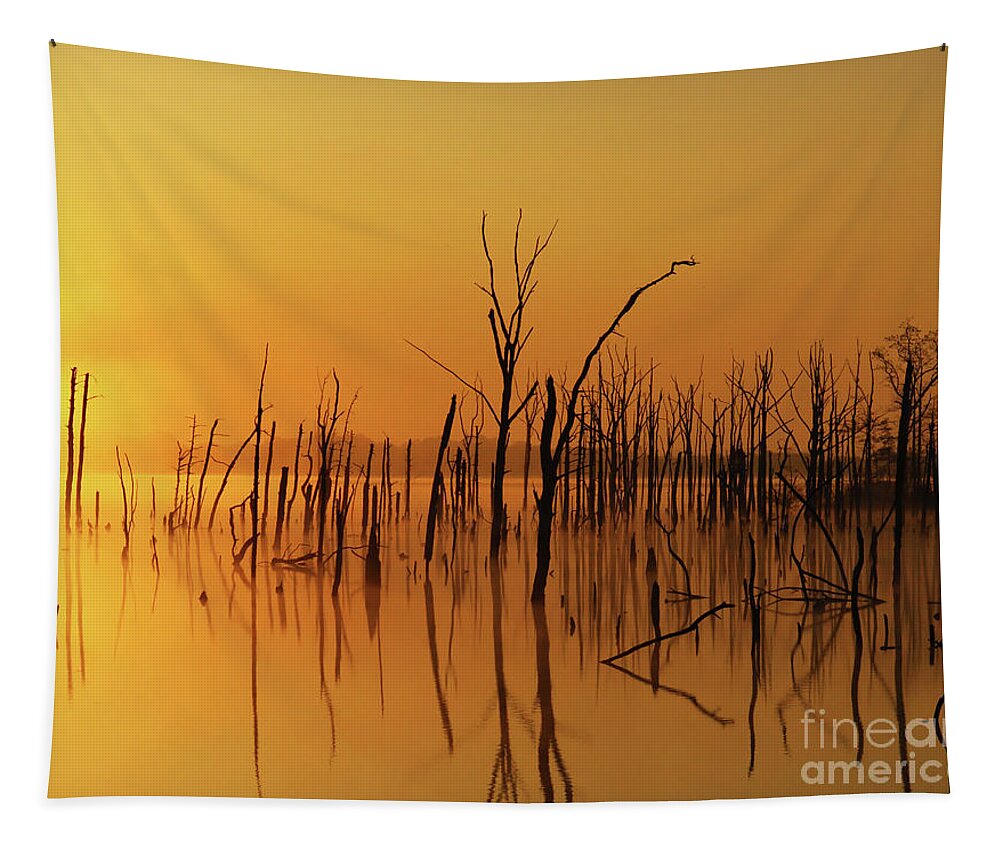 Gold Tapestry featuring the photograph Golden Reflections by Roger Becker
