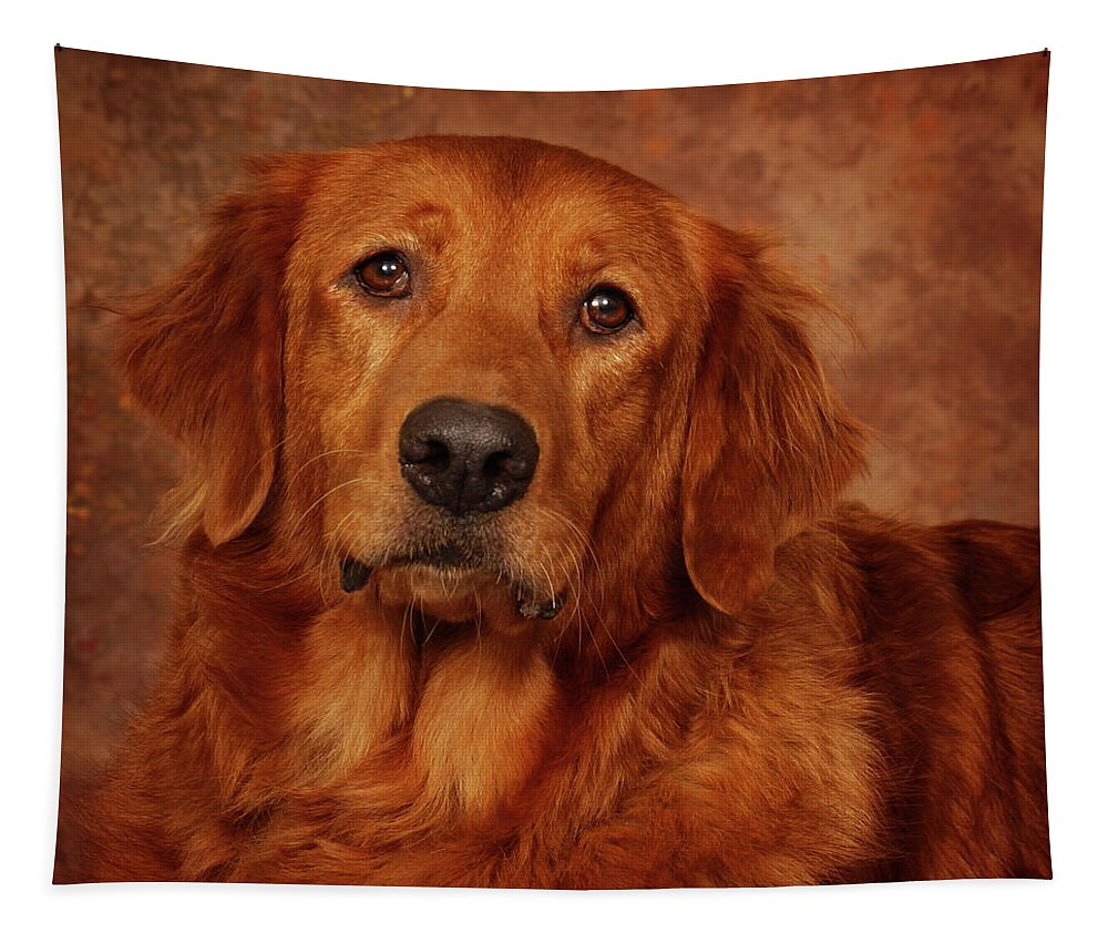 Dog Tapestry featuring the photograph Golden Retriever by Greg and Chrystal Mimbs