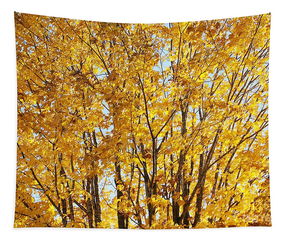 Tree Tapestry featuring the photograph GoldenYellows by Aimelle Ml
