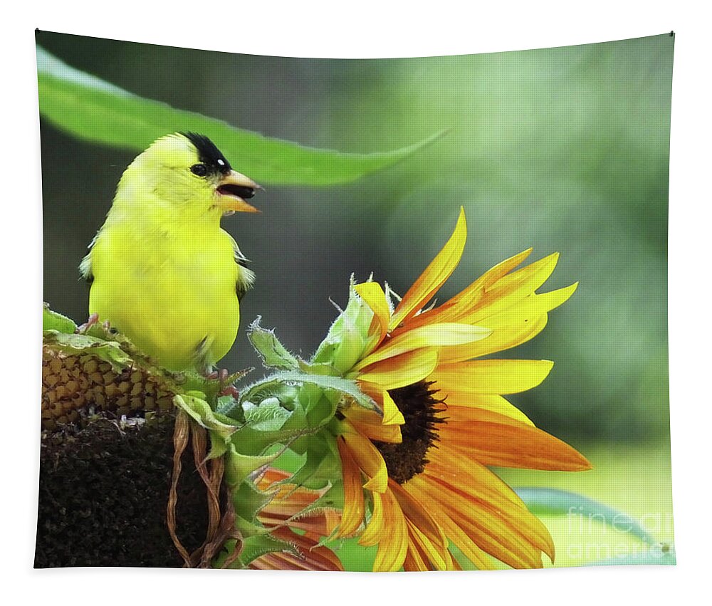 Bird Tapestry featuring the photograph Goldfinch 28 by Lizi Beard-Ward