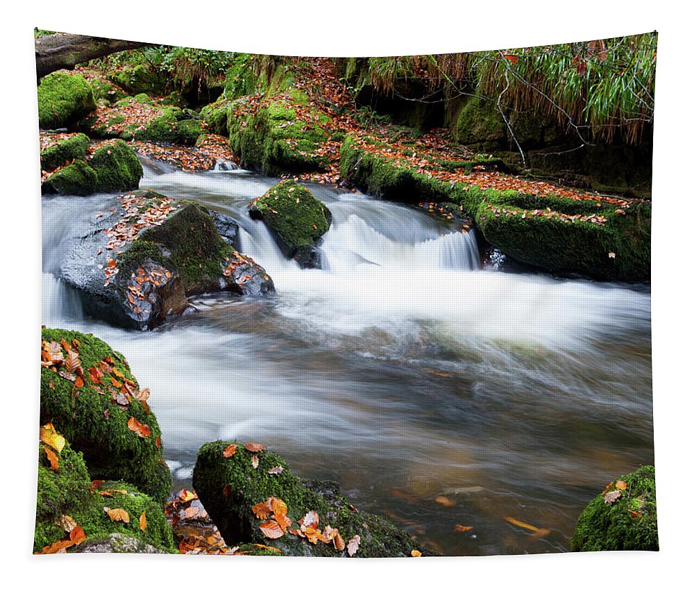 Blurry Water Tapestry featuring the photograph Golitha Falls iii by Helen Jackson