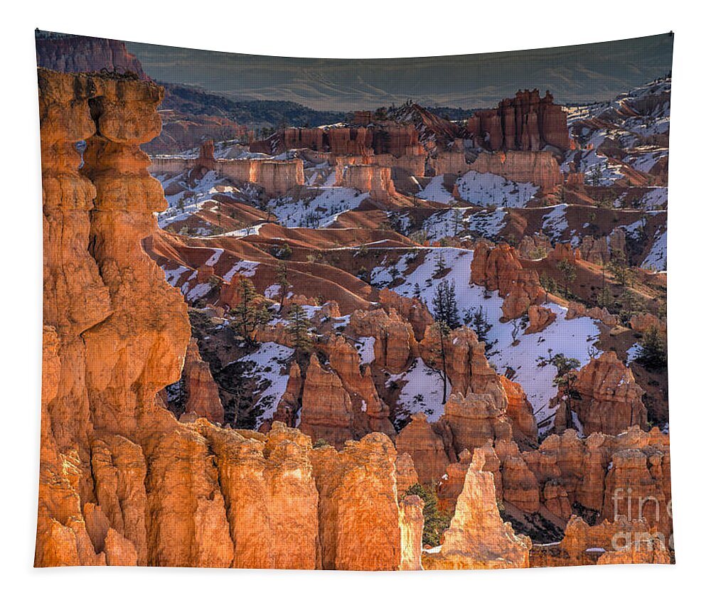 Bryce Tapestry featuring the photograph Good Morning Bryce by Jennifer Magallon