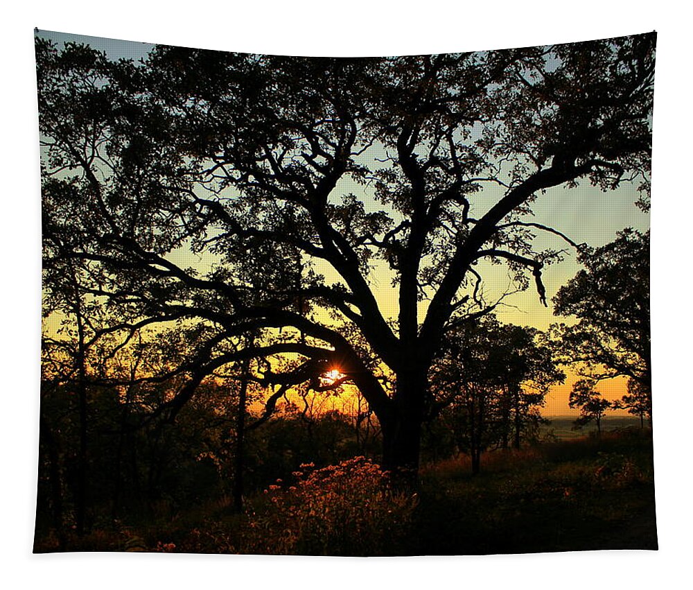 Sun Tapestry featuring the photograph Good Night Tree by Viviana Nadowski