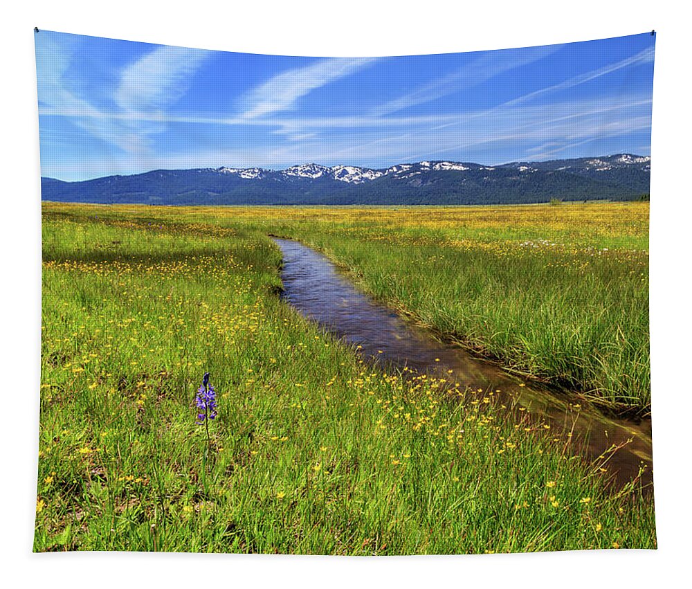 Creek Tapestry featuring the photograph Goodrich Creek by James Eddy