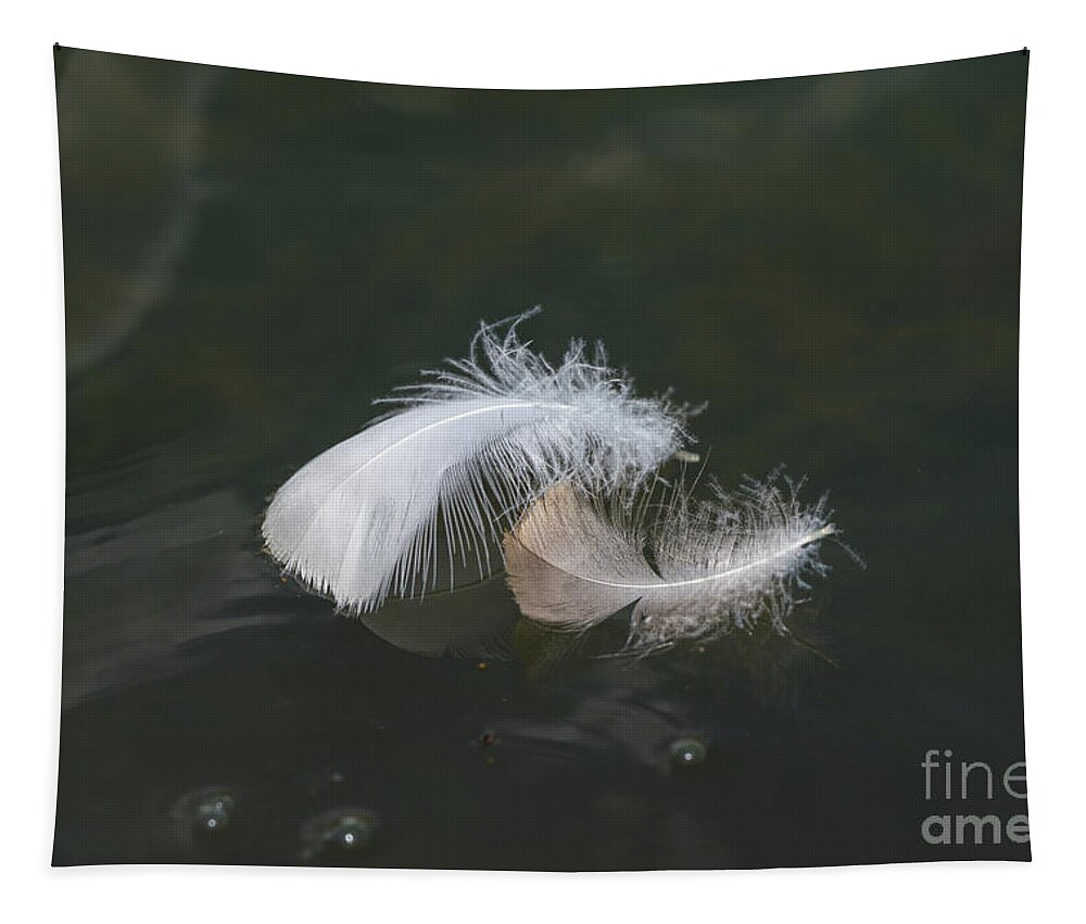 Goose Feathers Floating Tapestry by Jennifer White - Fine Art America